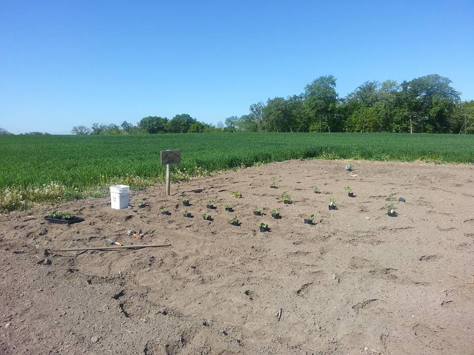 Future Home of Koshkonong Trails Decided