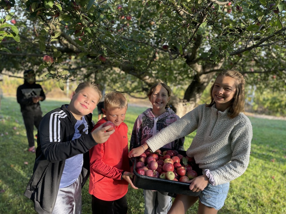 Apple Picking
